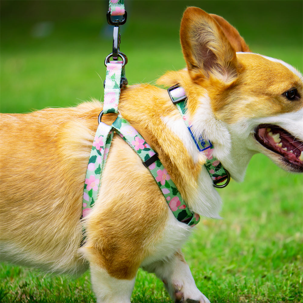 Aiitle New Adjustable Step in Dog Harness Leash Set Green Flower