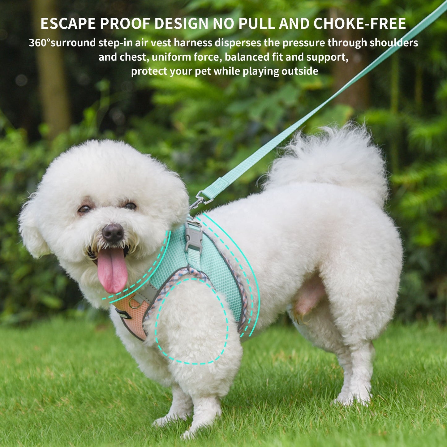 Aiitle Step in Breathable Air Mesh Dog Harness Turquoise