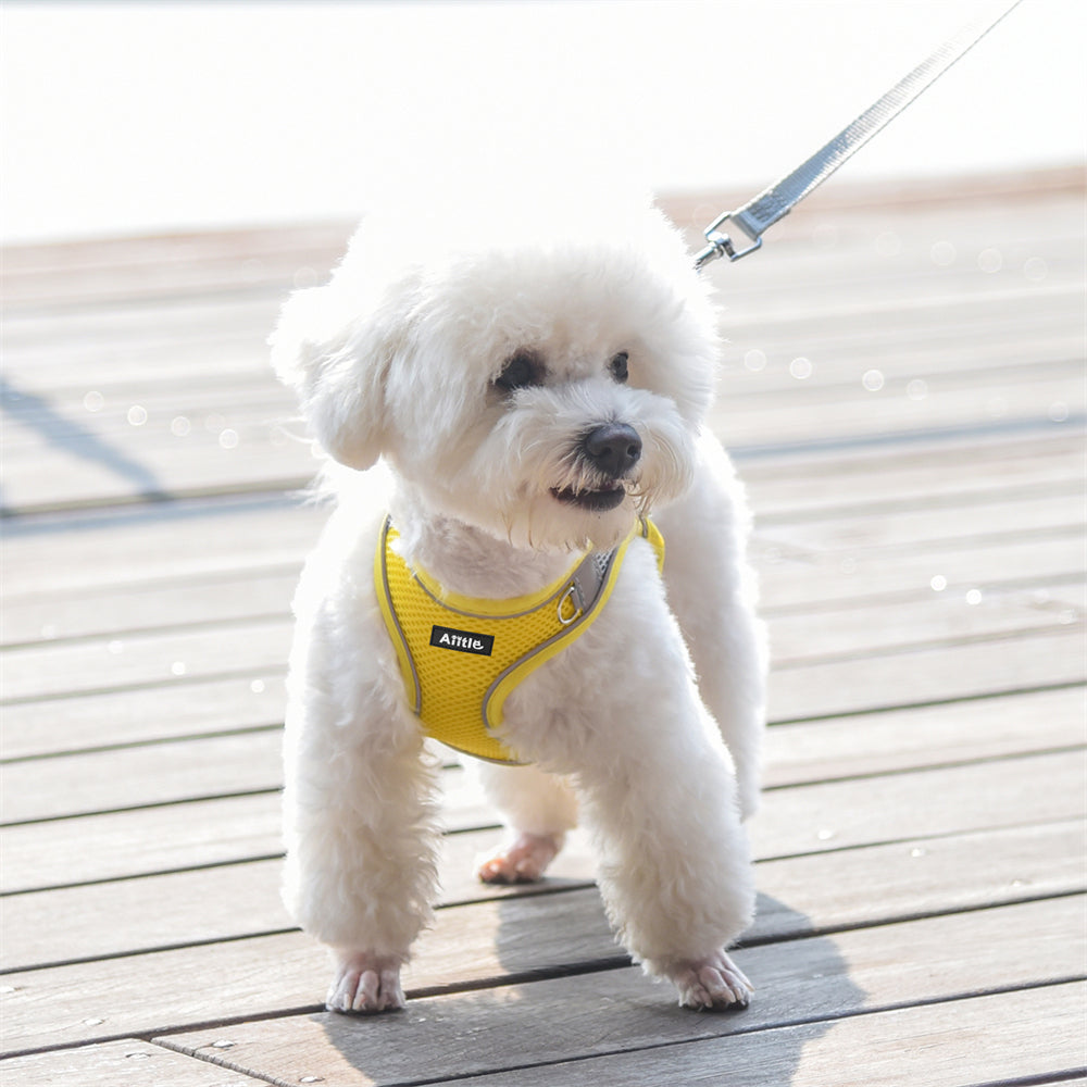 Aiitle Soft Adjustable Mesh Dog Harness Leash Set Yellow