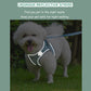 Aiitle Step in Breathable Air Mesh Dog Harness Blue