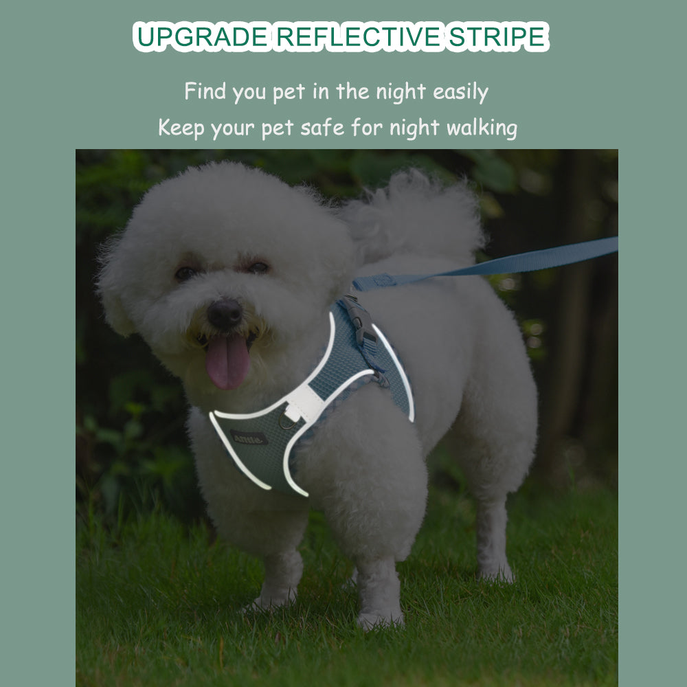 Aiitle Step in Breathable Air Mesh Dog Harness Turquoise