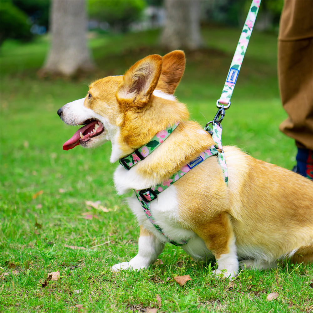 Aiitle New Adjustable Step in Dog Harness Leash Set Green Flower