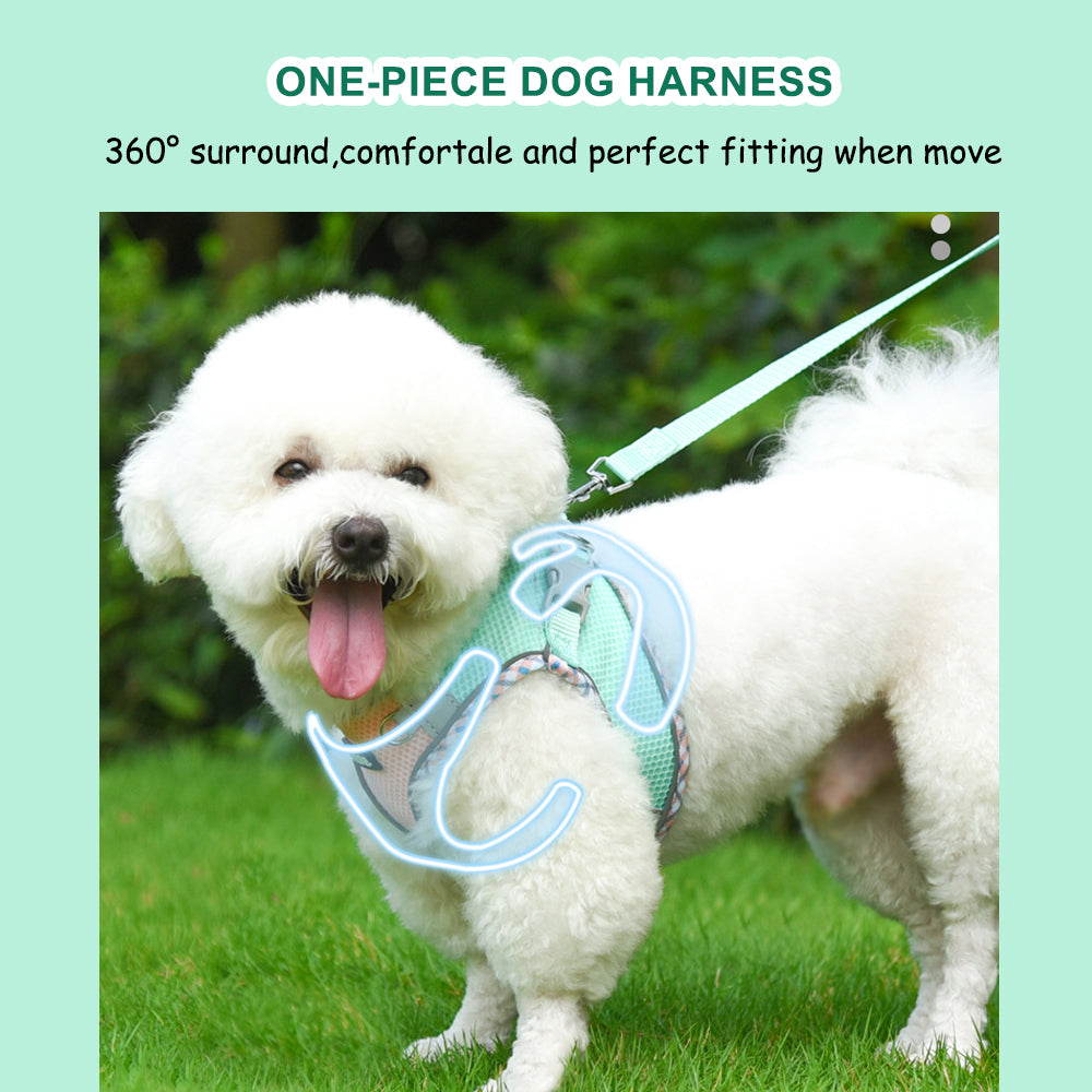 Aiitle Step in Breathable Air Mesh Dog Harness Turquoise