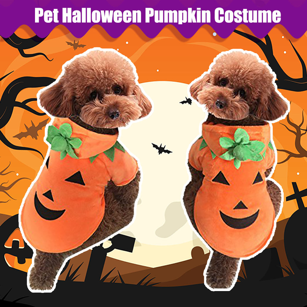 Aiitle Cute Fleece Pet Pumpkin Costume