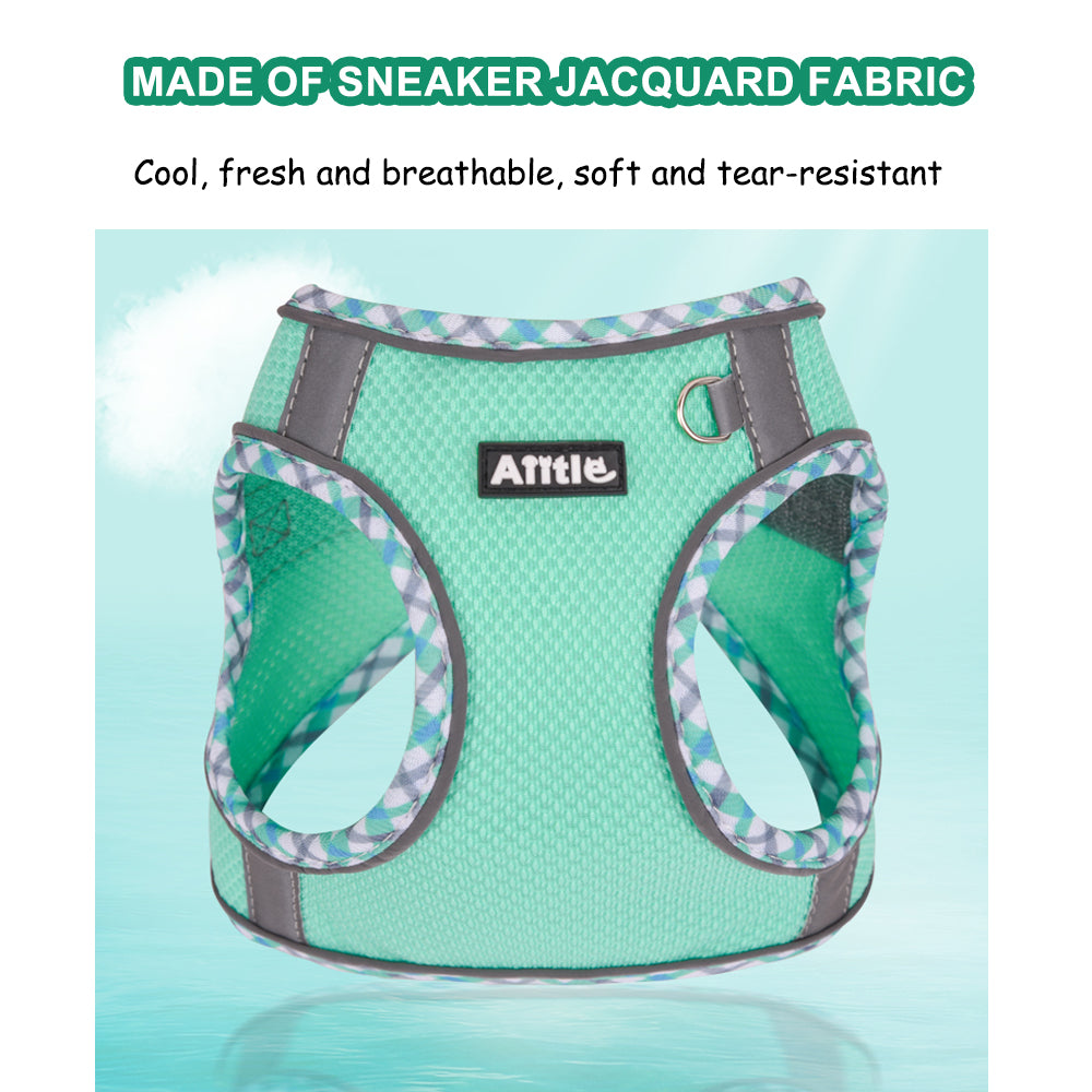 Aiitle Step in Breathable Air Mesh Dog Harness Turquoise