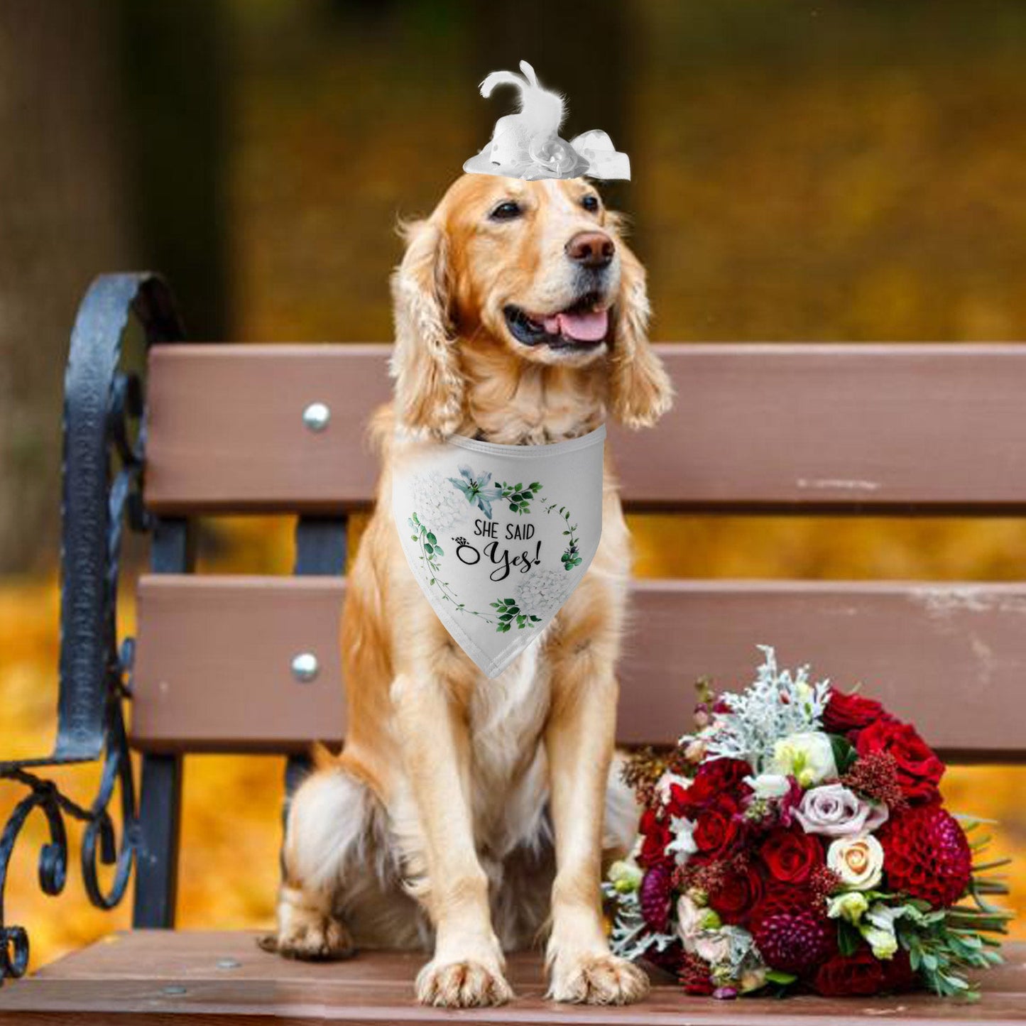 AIITLE She Said Yes Dog Wedding Bandana & White Hat Set Dog Wedding Attire | AIITLE