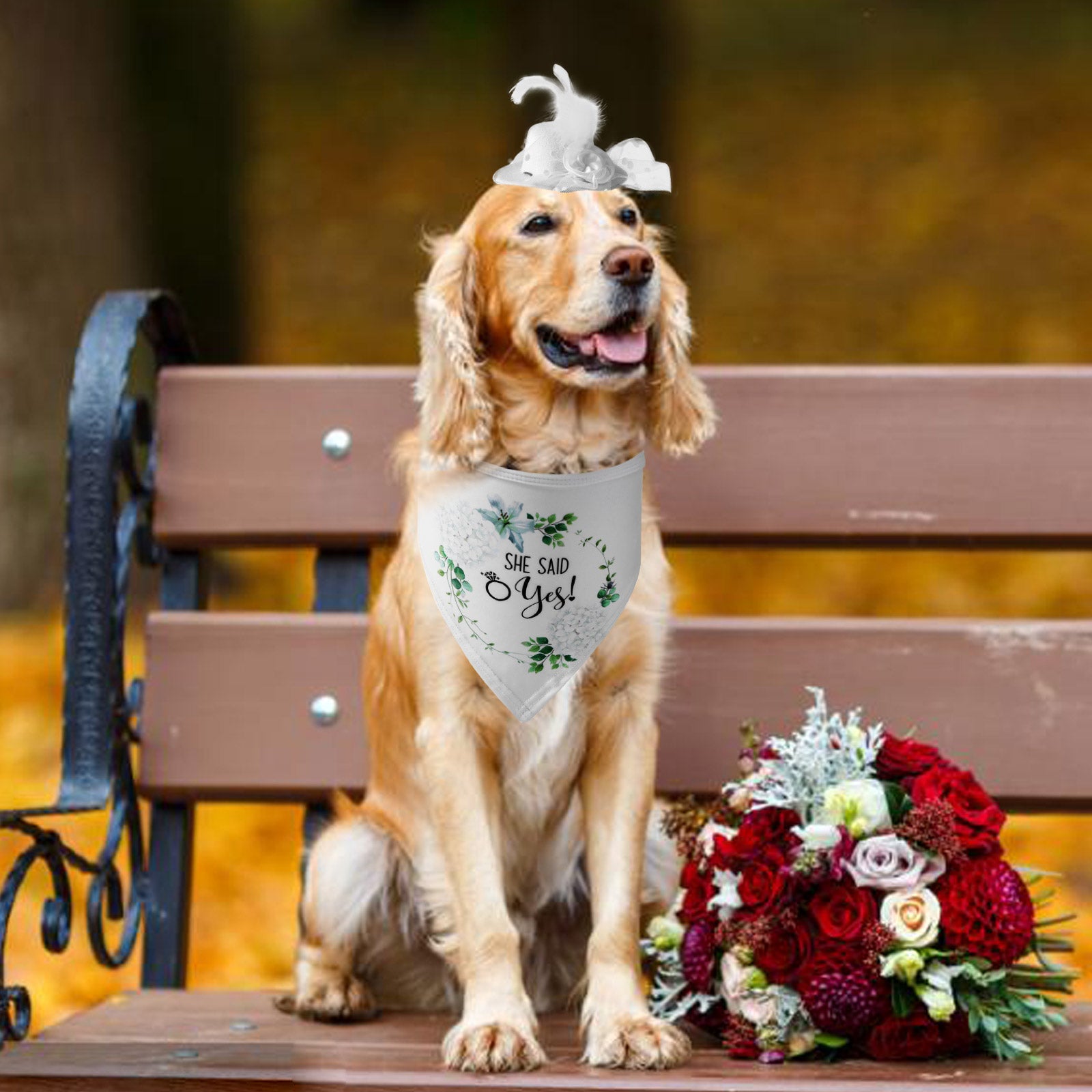 AIITLE She Said Yes Dog Wedding Bandana & White Hat Set Dog Wedding Attire | AIITLE