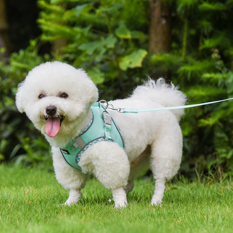 Aiitle Step in Breathable Air Mesh Dog Harness Turquoise