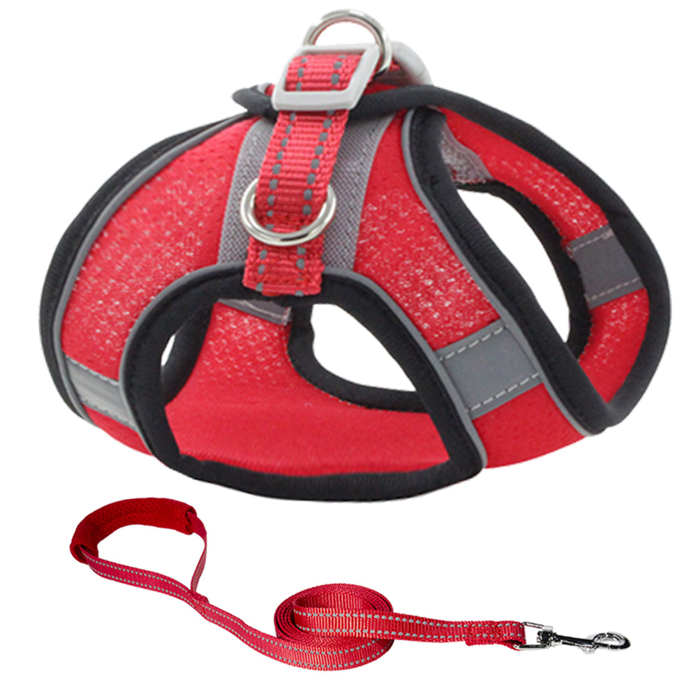 Aiitle Clearance Sale🔥- Step in Cat Dog Harness Leash Set