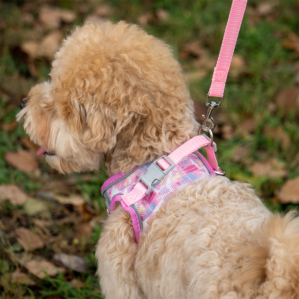 Aiitle Colorful Printed Mesh Dog Harness