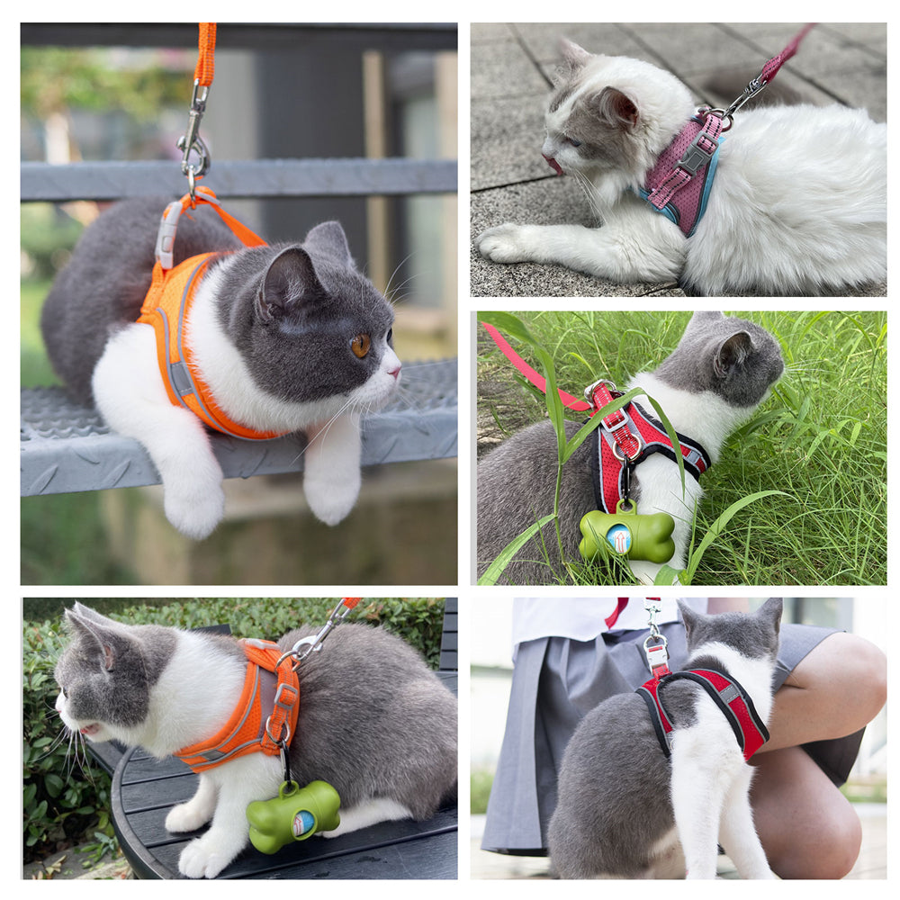 Aiitle Clearance Sale🔥- Step in Cat Dog Harness Leash Set