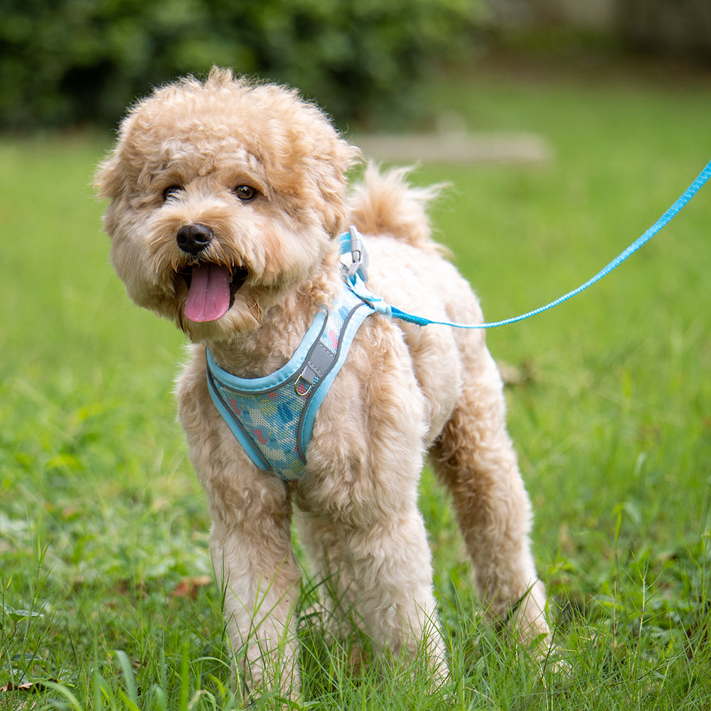 Aiitle Colorful Printed Mesh Dog Harness