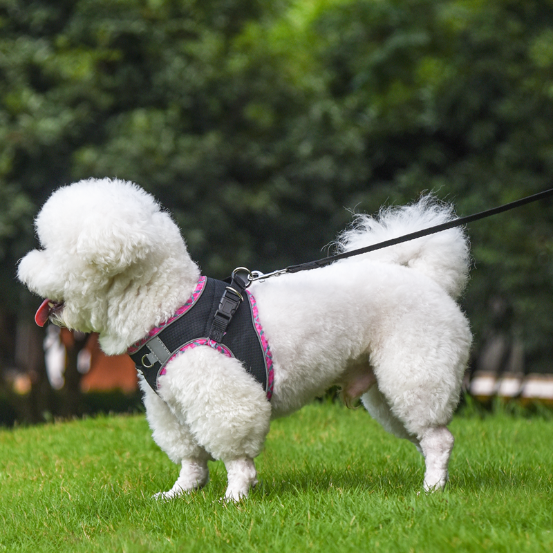 Aiitle Step in Breathable Air Mesh Dog Harness Black