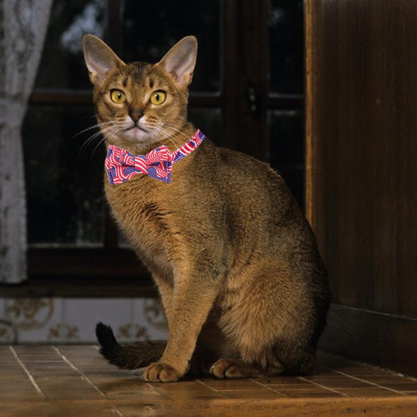 AIITLE American Flag Cat Collar with Bell Bow Tie Star Charm Breakaway | AIITLE