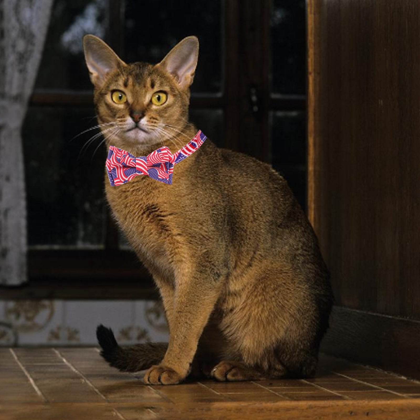 AIITLE American Flag Cat Collar with Bell Bow Tie Star Charm Breakaway | AIITLE