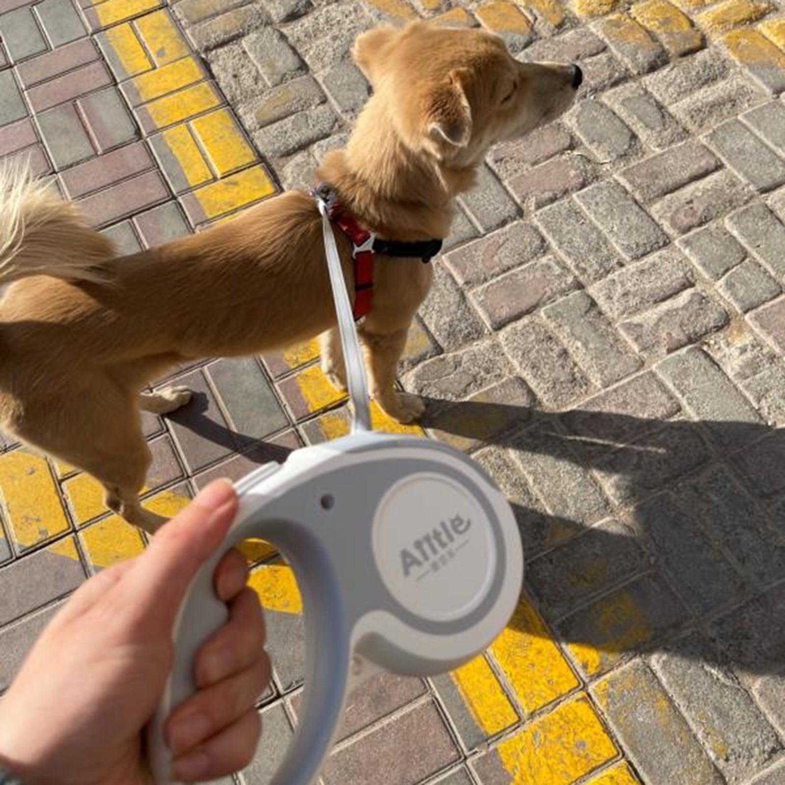 Aiitle Retractable Dog Leash, 16 ft Dog Leash for Dogs and Cats, Easy Single Lock | AIITLE
