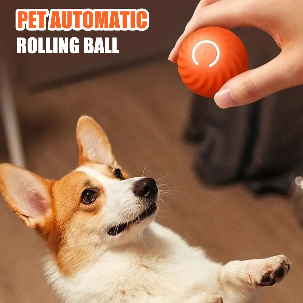 Aiitle Pet Automatic Rolling Ball