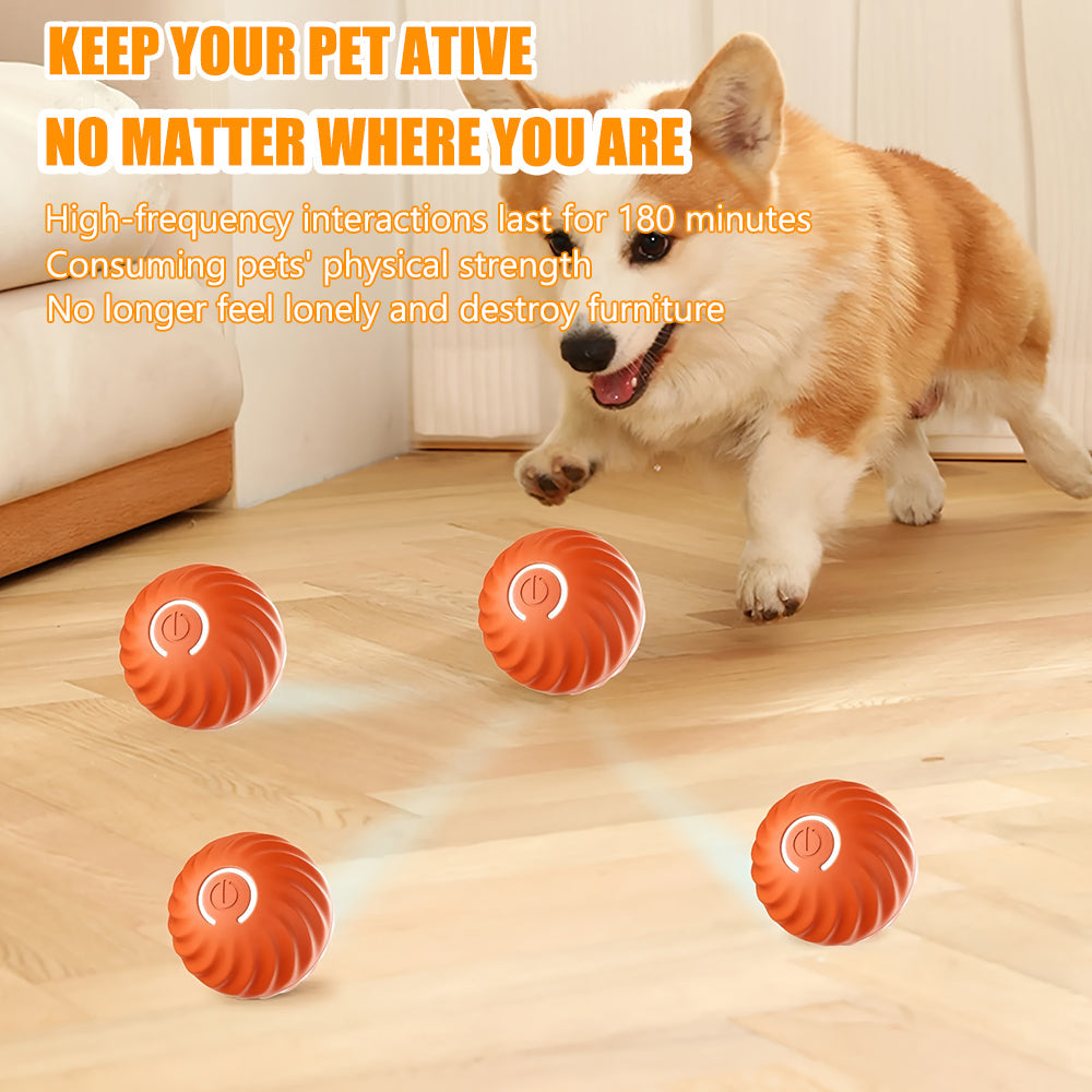 Aiitle Pet Automatic Rolling Ball