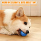 Aiitle Pet Automatic Rolling Ball