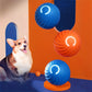 Aiitle Pet Automatic Rolling Ball