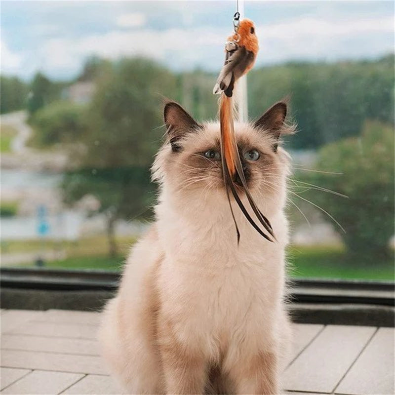 Aiitle Interactive Bird Toy Set for Indoor Cats