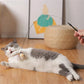 Aiitle Interactive Bird Toy Set for Indoor Cats