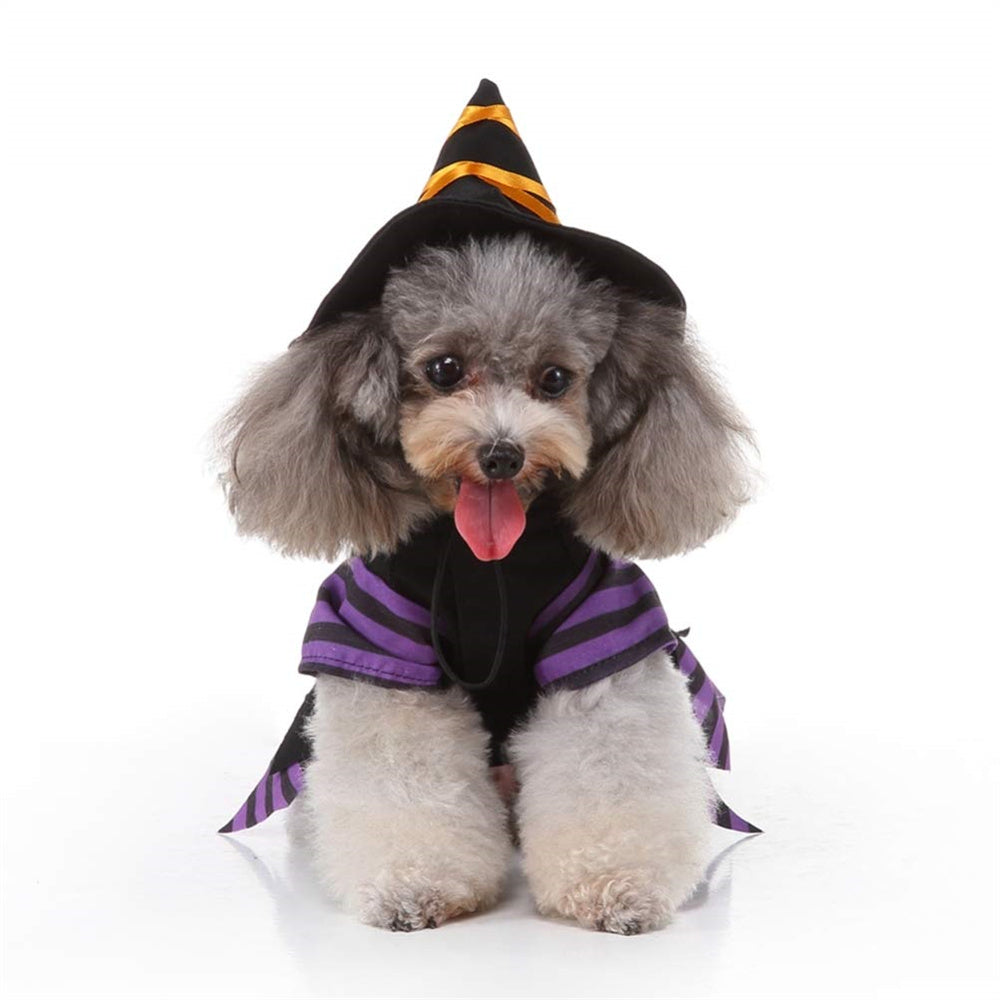 Aiilte Pet Halloween Party Witch Wizard Hat Clothes Set