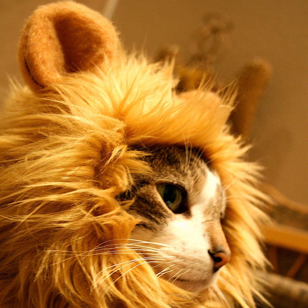 Aiitle Funny Cat Cosplay Lion Mane Wig