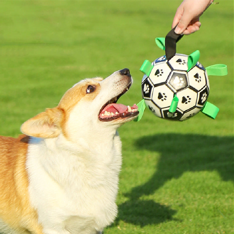 Aiitle Dog Toy Straps Soccer Ball with Free Bump