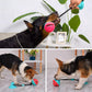 Aiitle Suction Dog Chew Toys