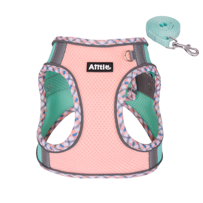 Aiitle Step in Breathable Air Mesh Dog Harness