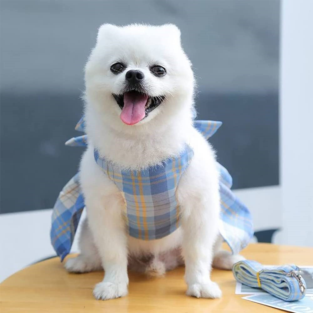 Aiitle Cute Pet Plaid Skrit Harness Leash Set