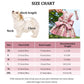 Aiitle Cute Pet Plaid Skrit Harness Leash Set