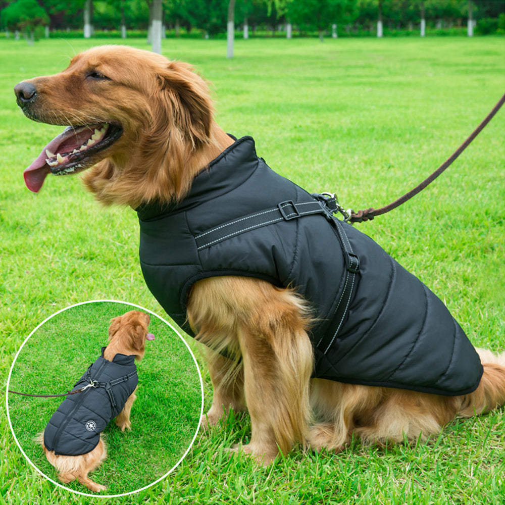 Aiitle Dog Waterproof Winter Harness