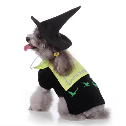 Aiilte Black Green Dog Halloween Witch Wizard Hat Costume Set