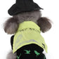 Aiilte Black Green Dog Halloween Witch Wizard Hat Costume Set