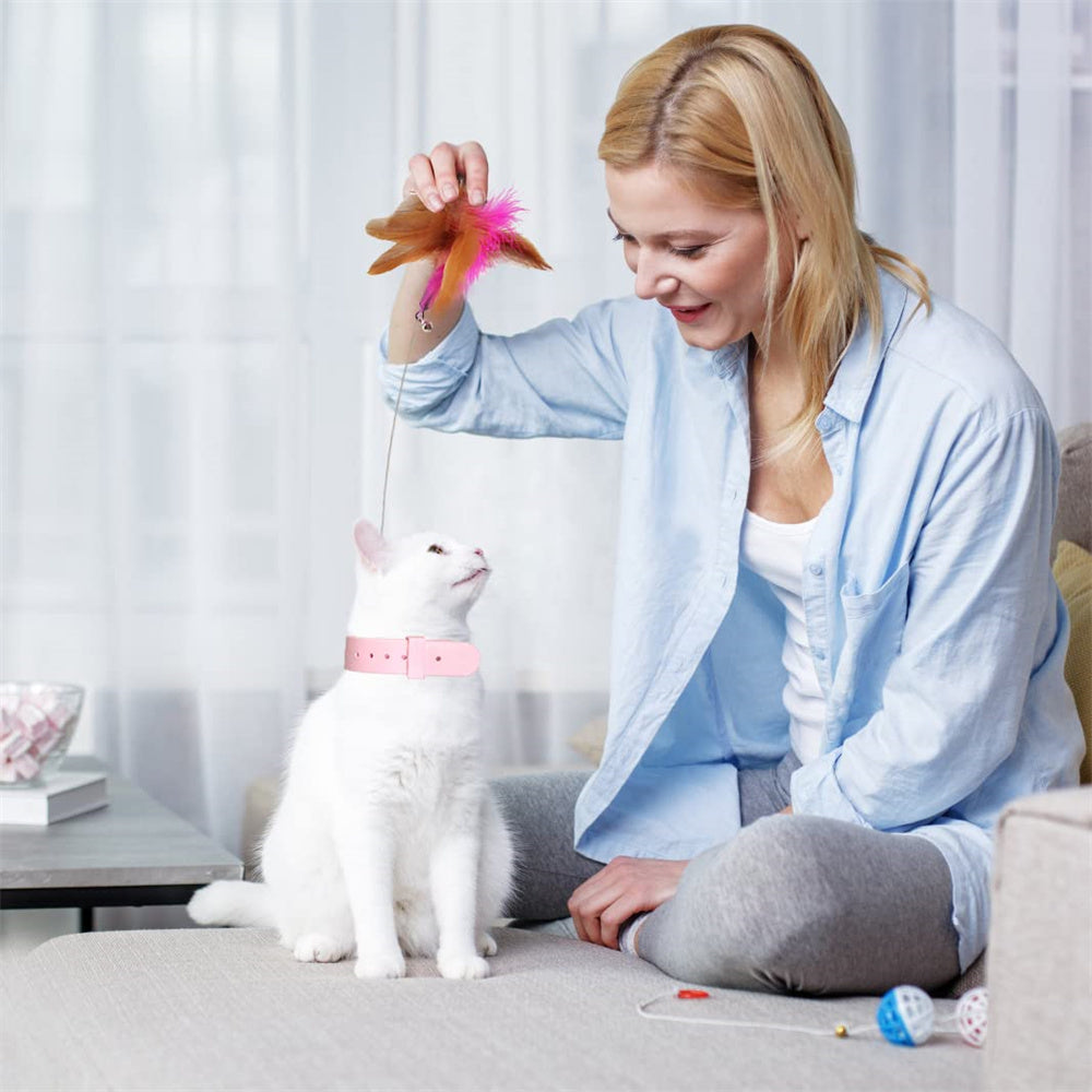 Aiitle Cat Self Interactive Collar Toy