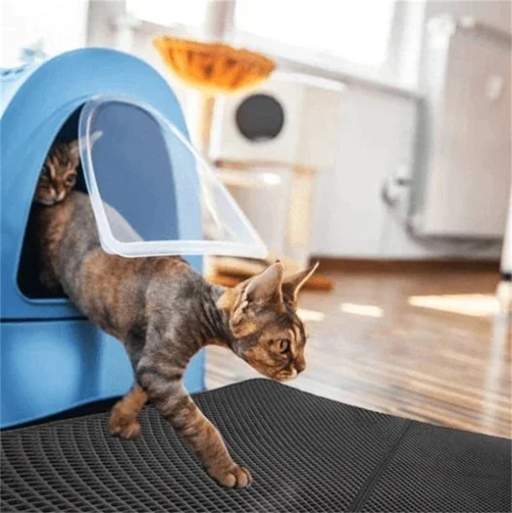 Aiitle Detachable Non-Slip Cat Litter Mat Double Layer