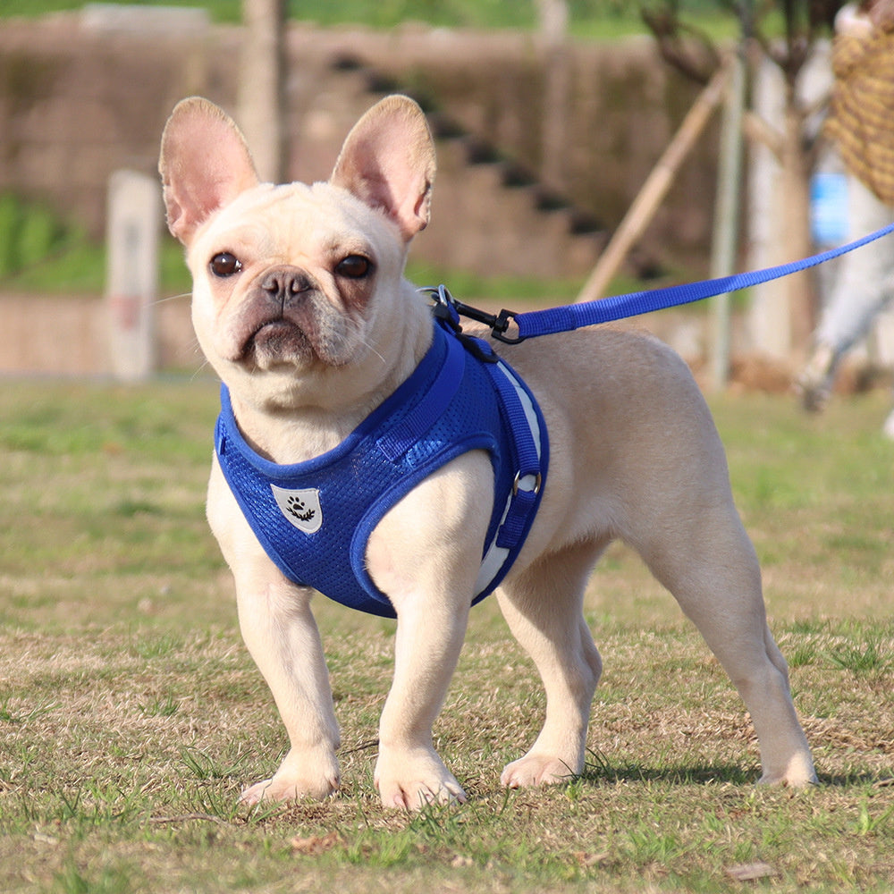 Aiitle Adjust Breathable Pet Harness Leash Set