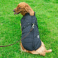 Aiitle Dog Waterproof Winter Harness