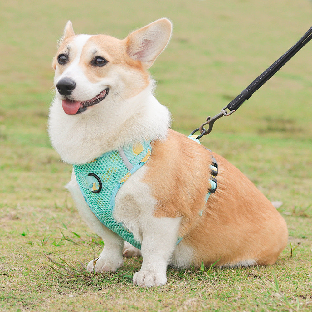 Aittle Fruit Print Mesh Dog Harness