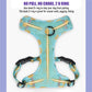 Aittle Fruit Print Mesh Dog Harness
