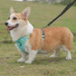 Aittle Fruit Print Mesh Dog Harness