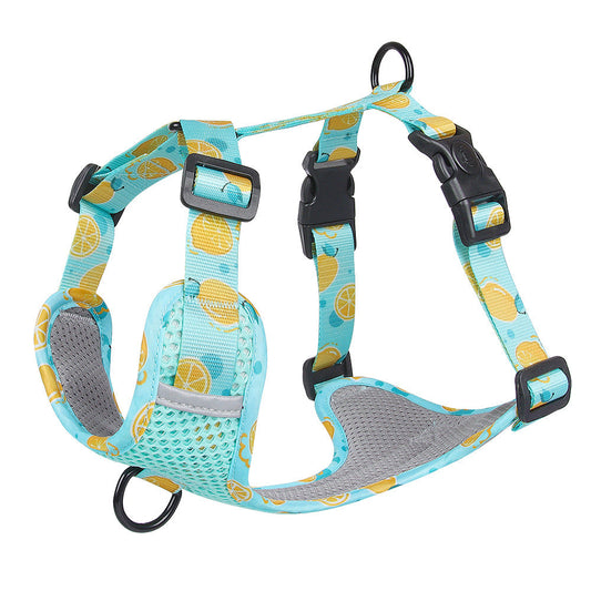 Aittle Fruit Print Mesh Dog Harness