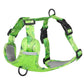 Aittle Fruit Print Mesh Dog Harness