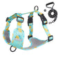 Aittle Fruit Print Mesh Dog Harness