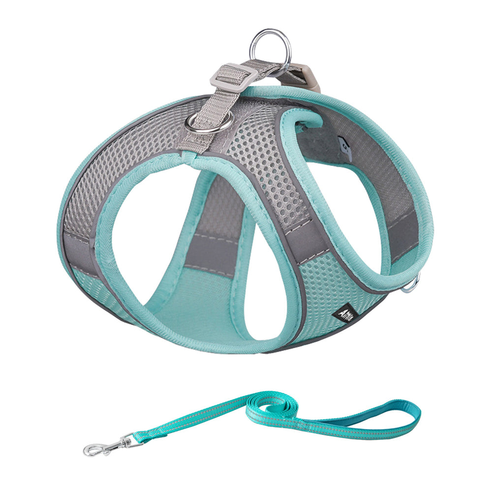 Aiitle Soft Adjustable Mesh Dog Harness Leash Set Blue