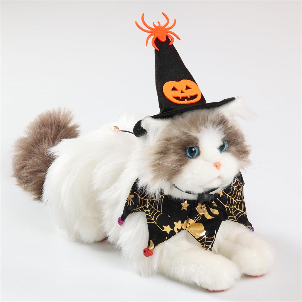 Aiitle Pet Halloween Skeleton Costume Set