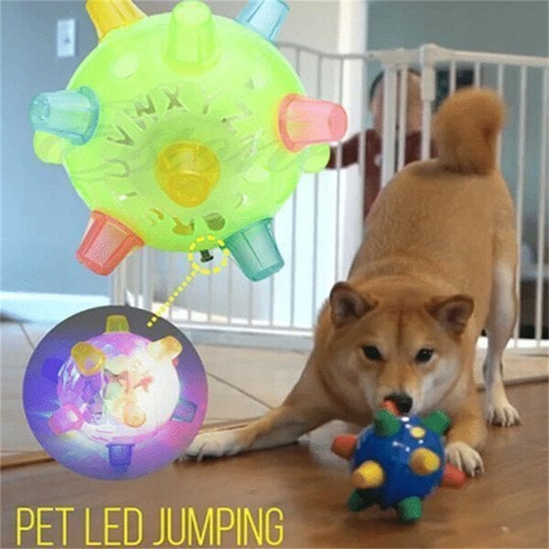 Aiitle Jumping Activation Ball for Pet (2 pcs set)