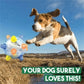 Aiitle Jumping Activation Ball for Pet (2 pcs set)
